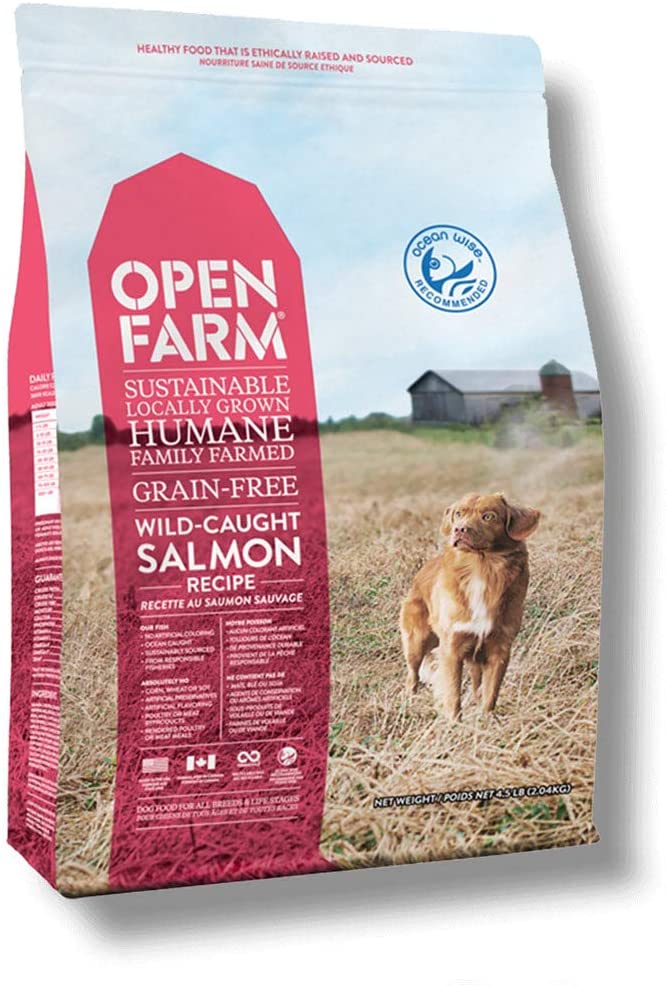 Croquettes pour chiens au saumon sauvage par Open Farm