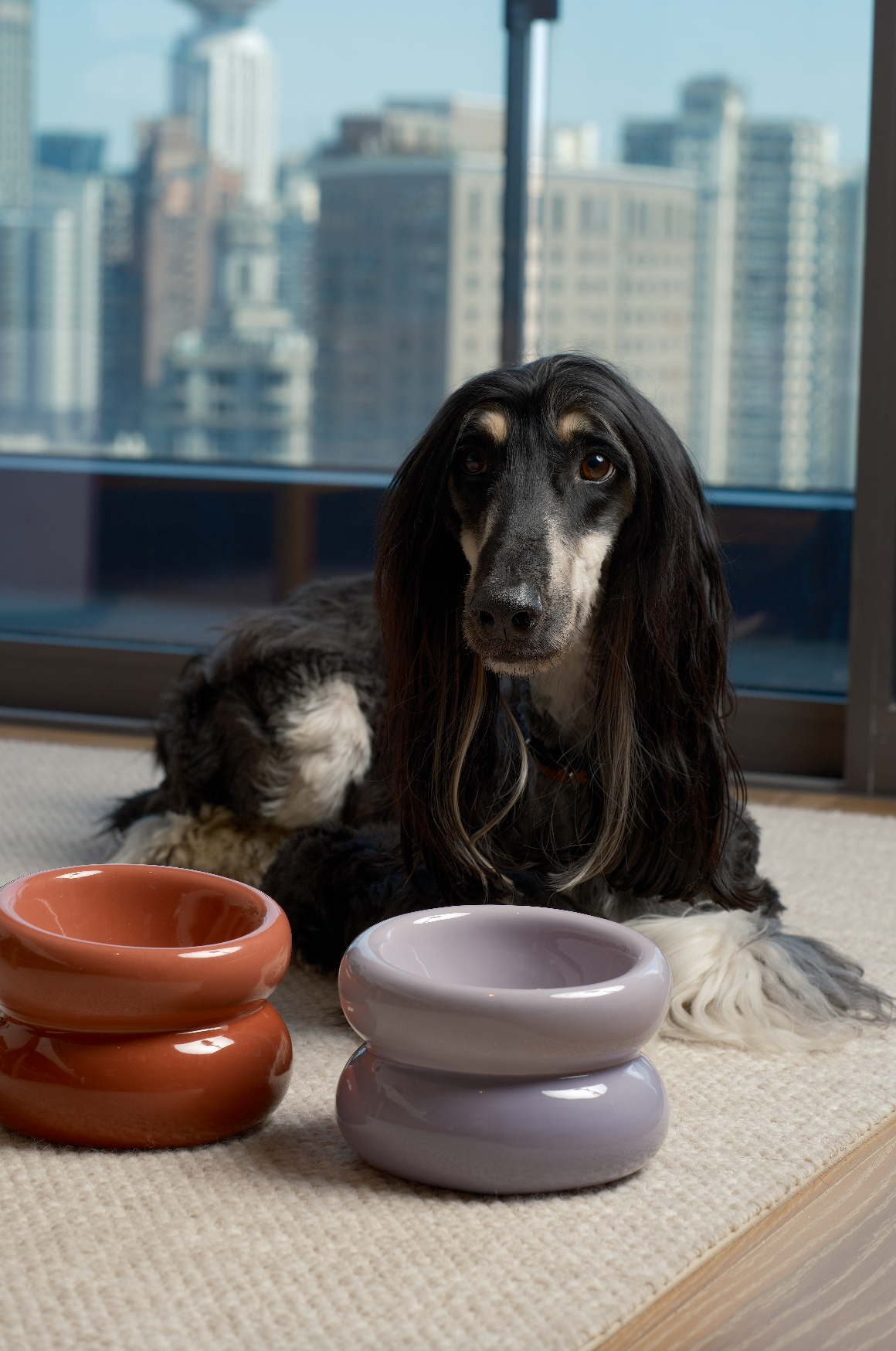 Gamelle Soufflée pour Animaux de Compagnie - Violette