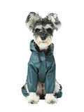 Veste imperméable à capuche intégrale ultralégère pour chien - Bleu