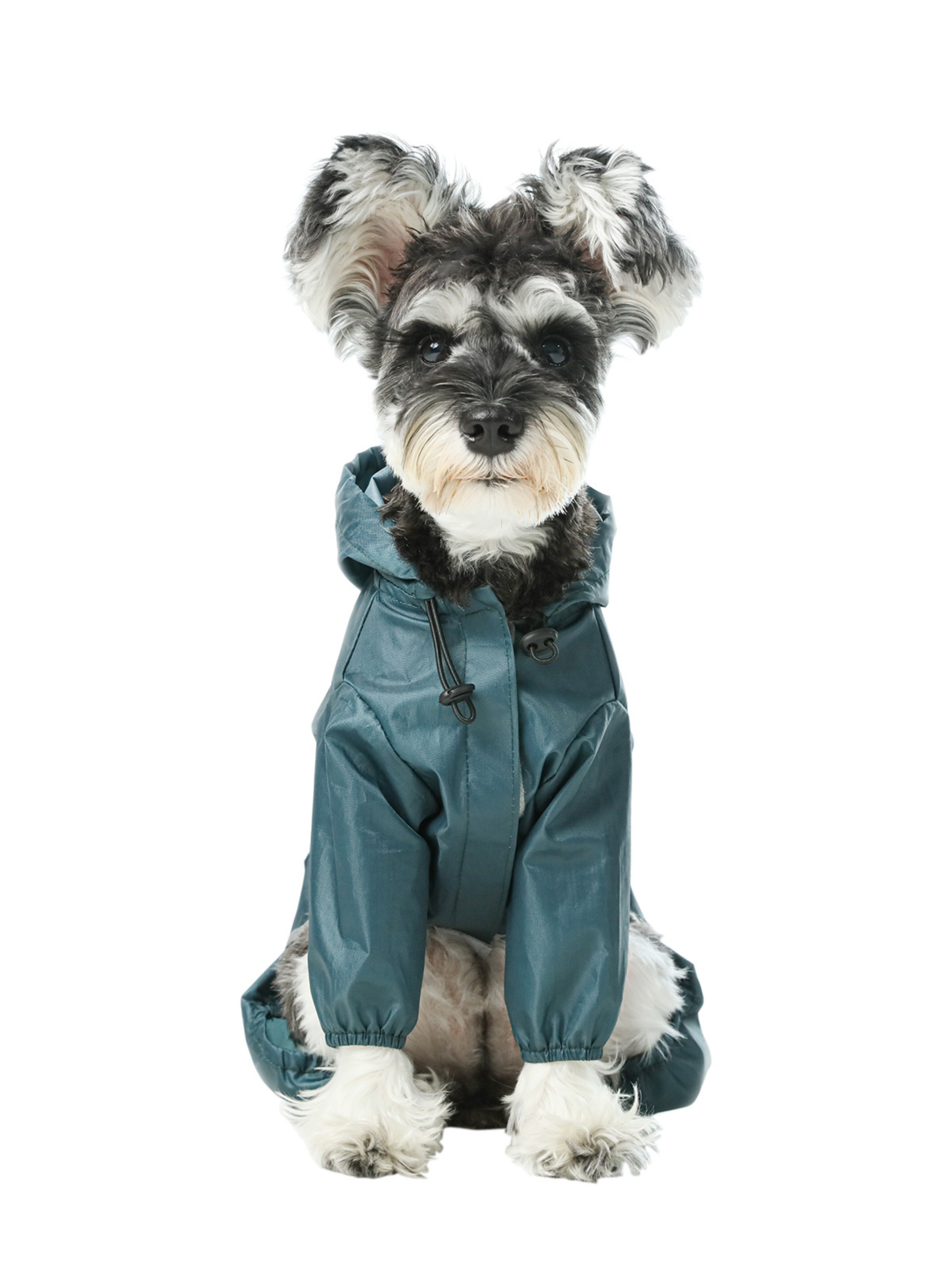 Veste imperméable à capuche intégrale ultralégère pour chien - Bleu