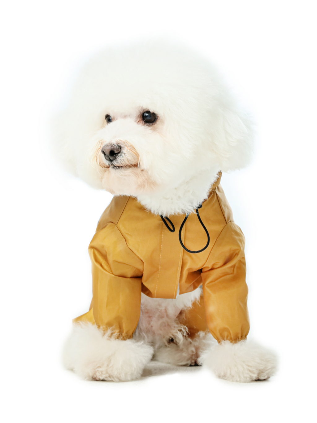 Veste pour chien imperméable, ultralégère et entièrement couvrante avec capuche - Jaune