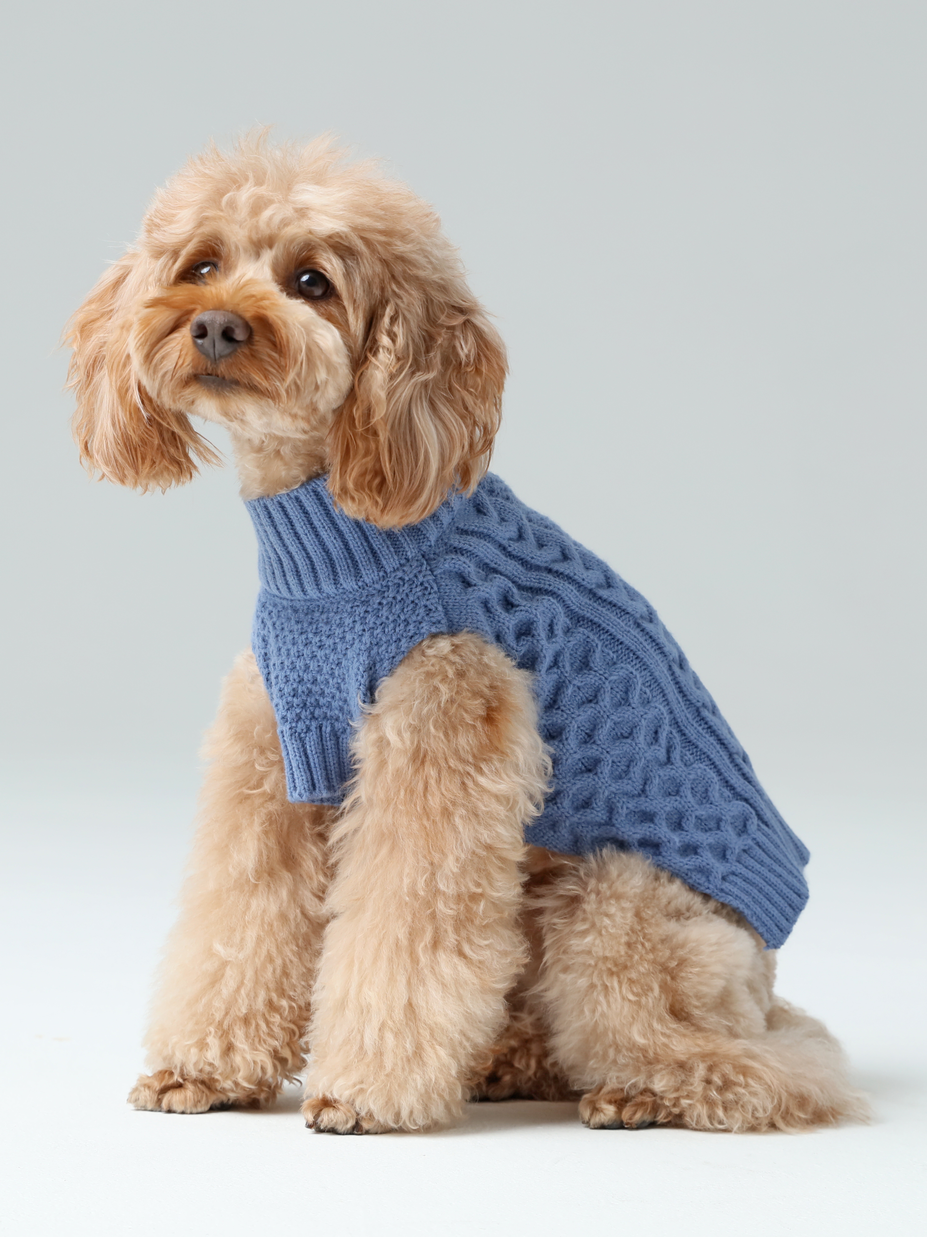 Gilet pour animaux de compagnie - Bleu glacier