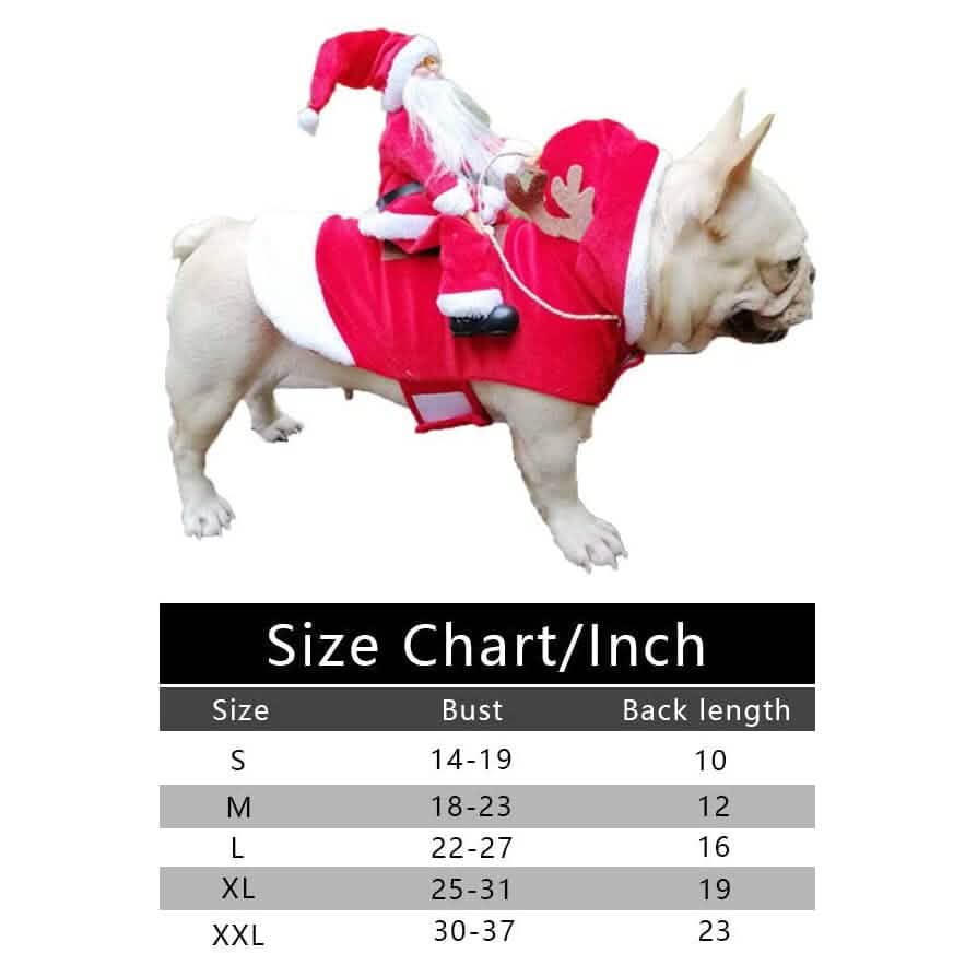 Costume de Noël pour chien