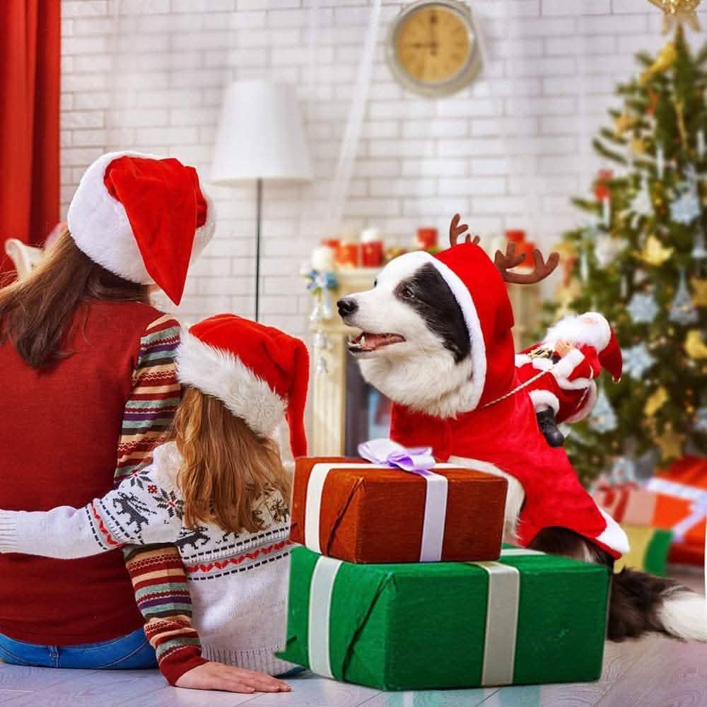 Dog Costume Christmas Pet Clothes