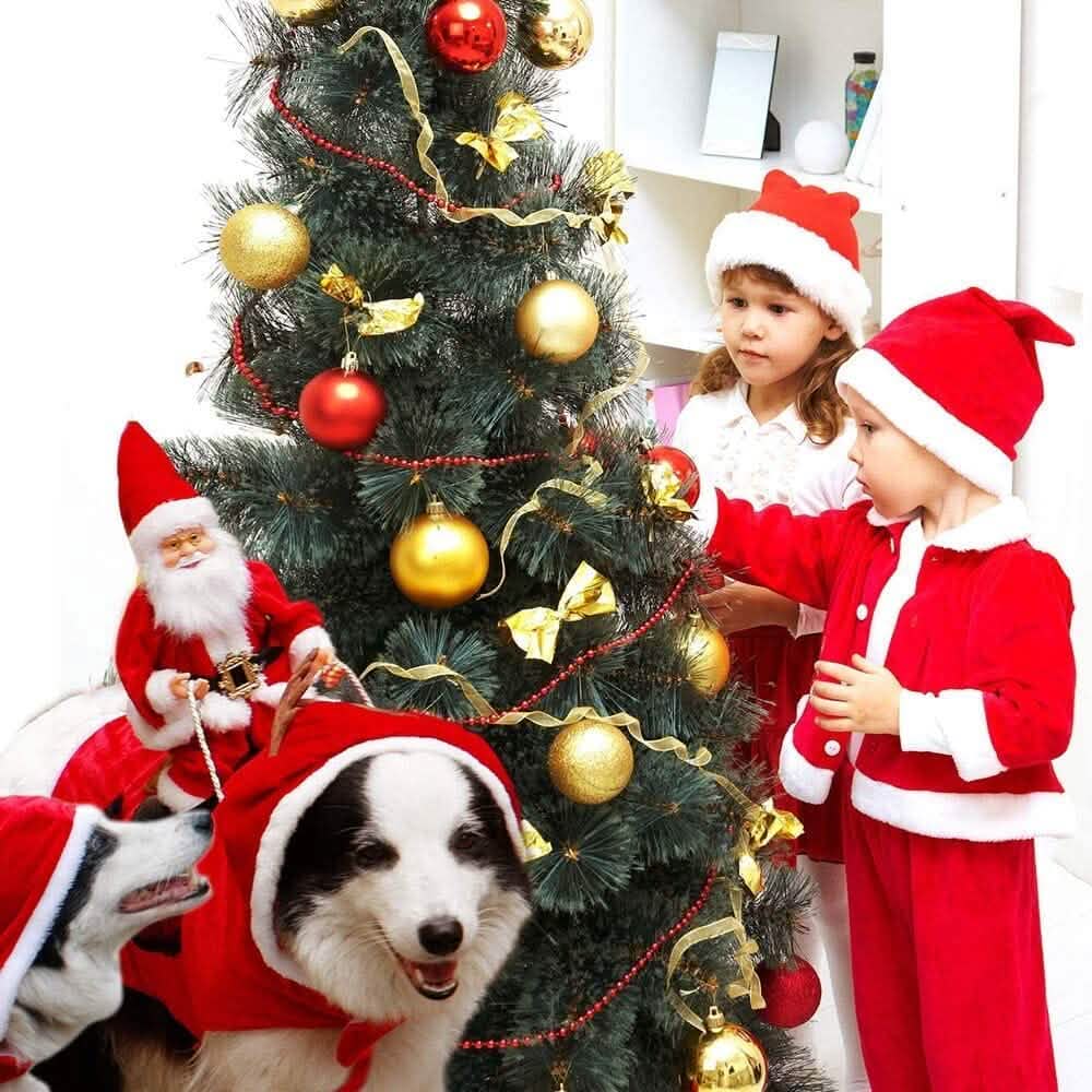 Costume de Noël pour chien