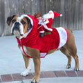 Costume de Noël pour chien