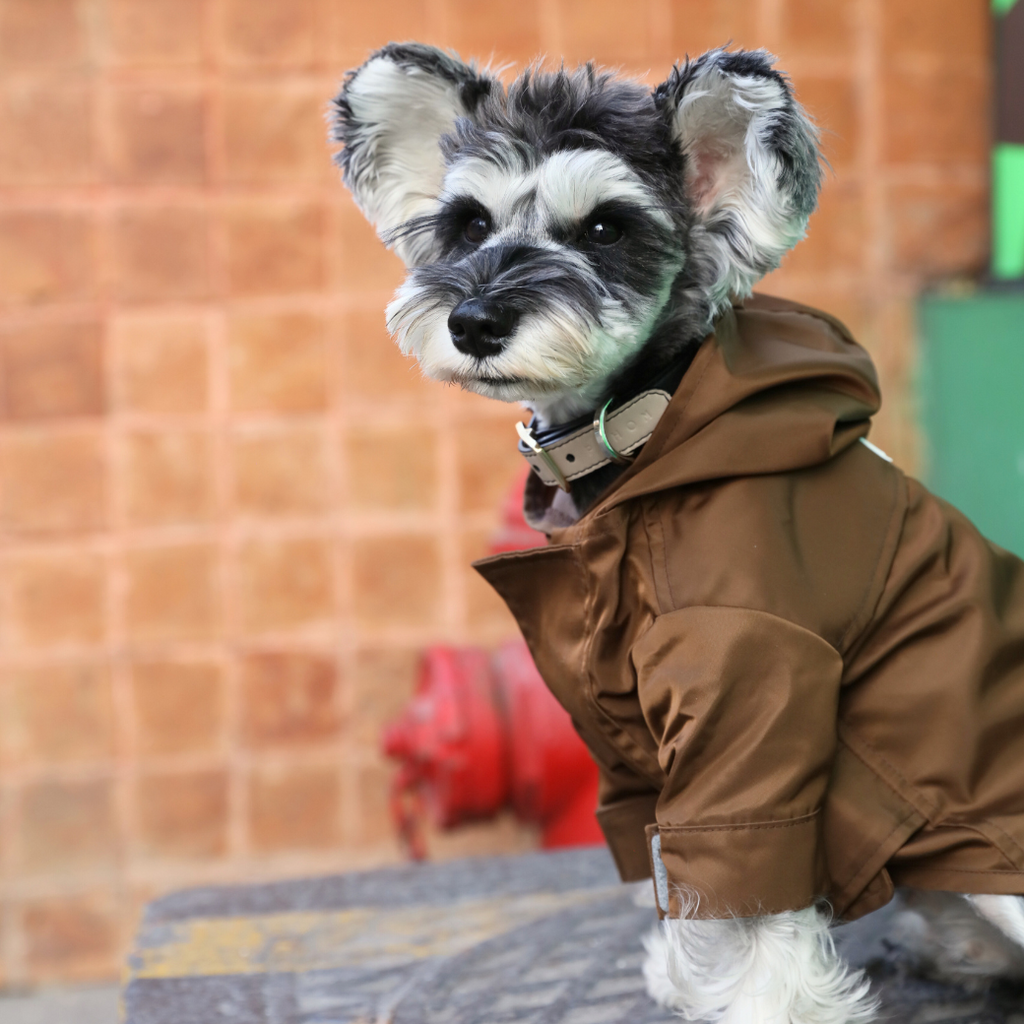 Imperméable ajustable à velcro Tribeca - Choco