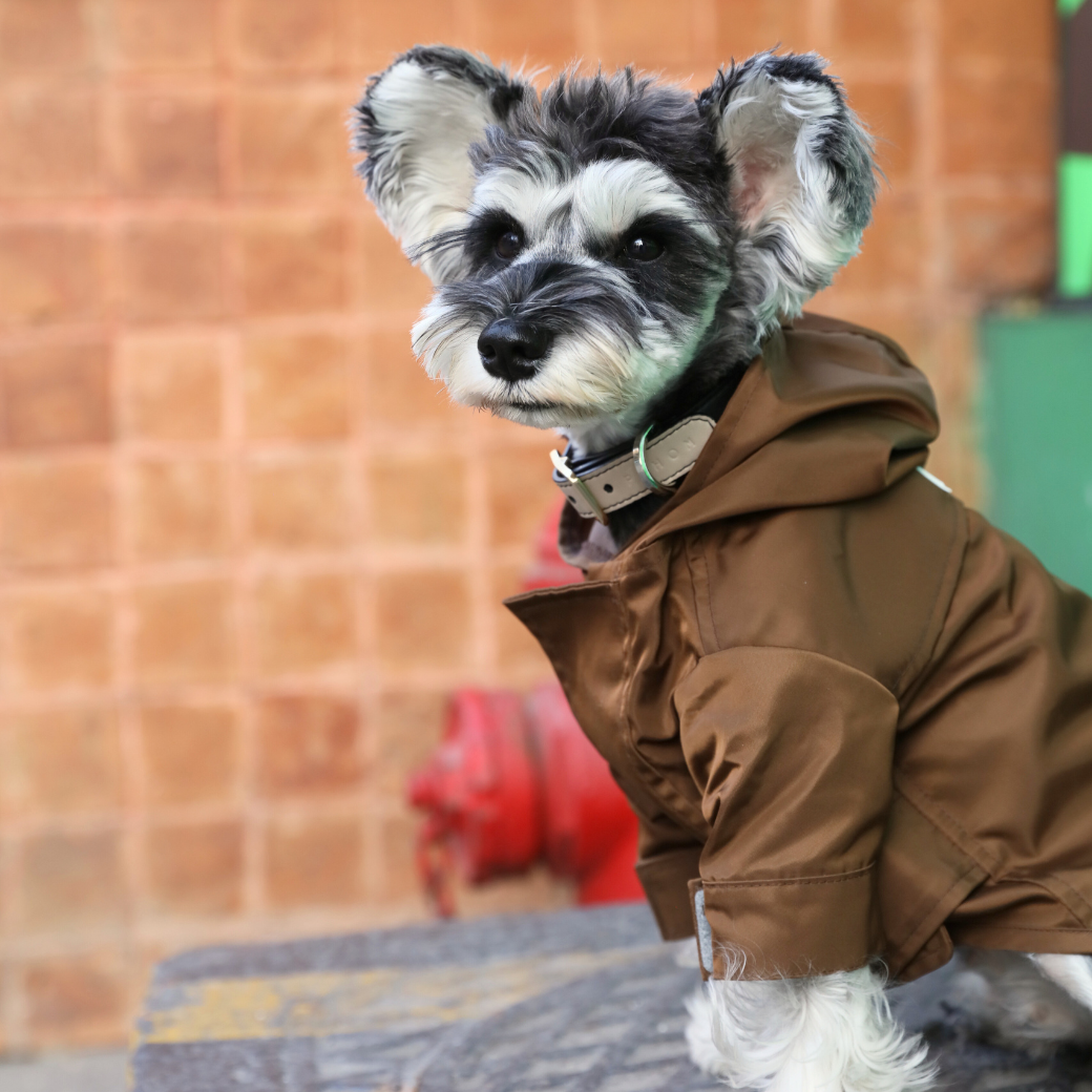 Imperméable ajustable à velcro Tribeca - Choco