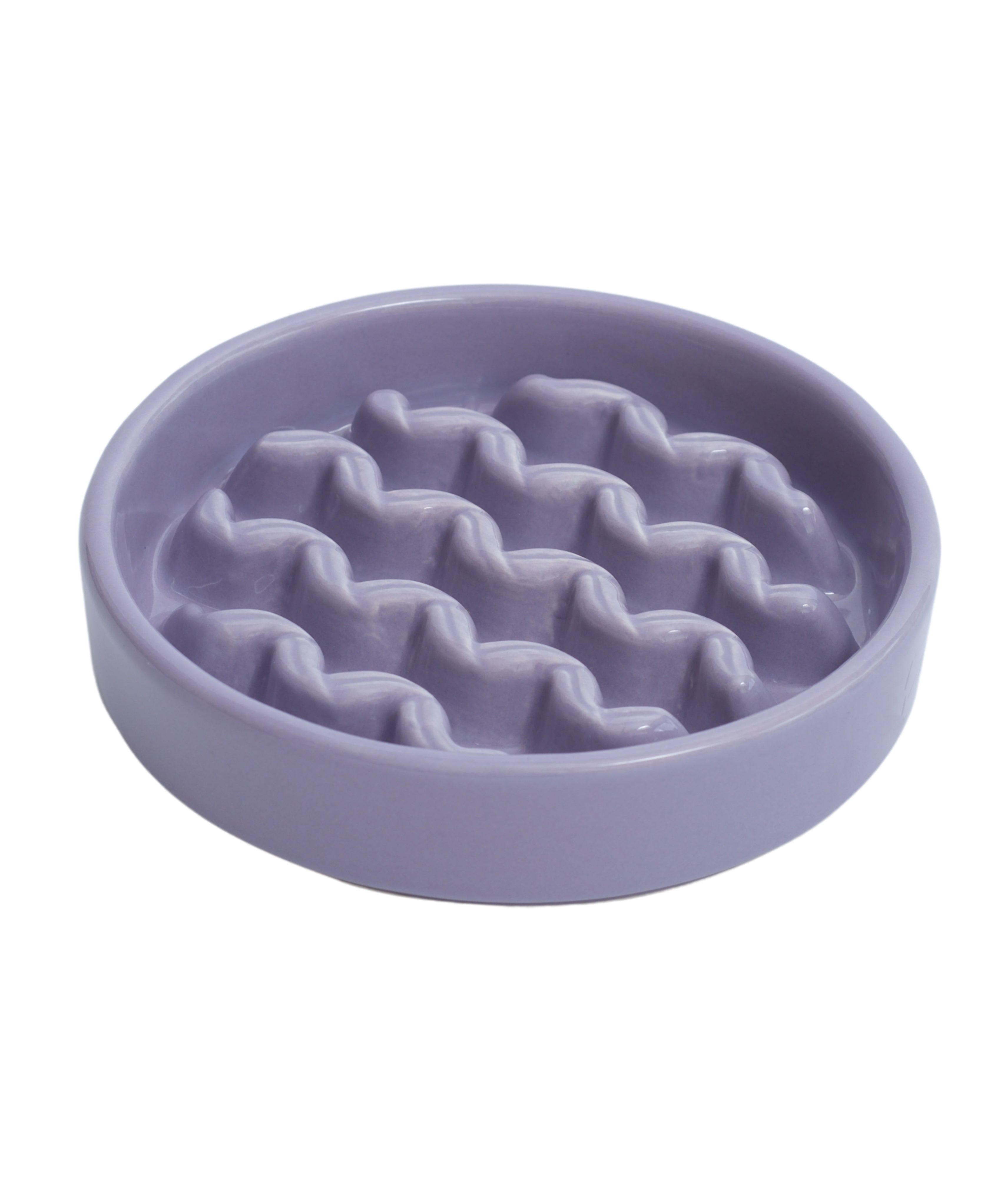 [Macaroni] Gamelles Lente Absorption pour Chien - Jaune / Bleu Glacé / Violet