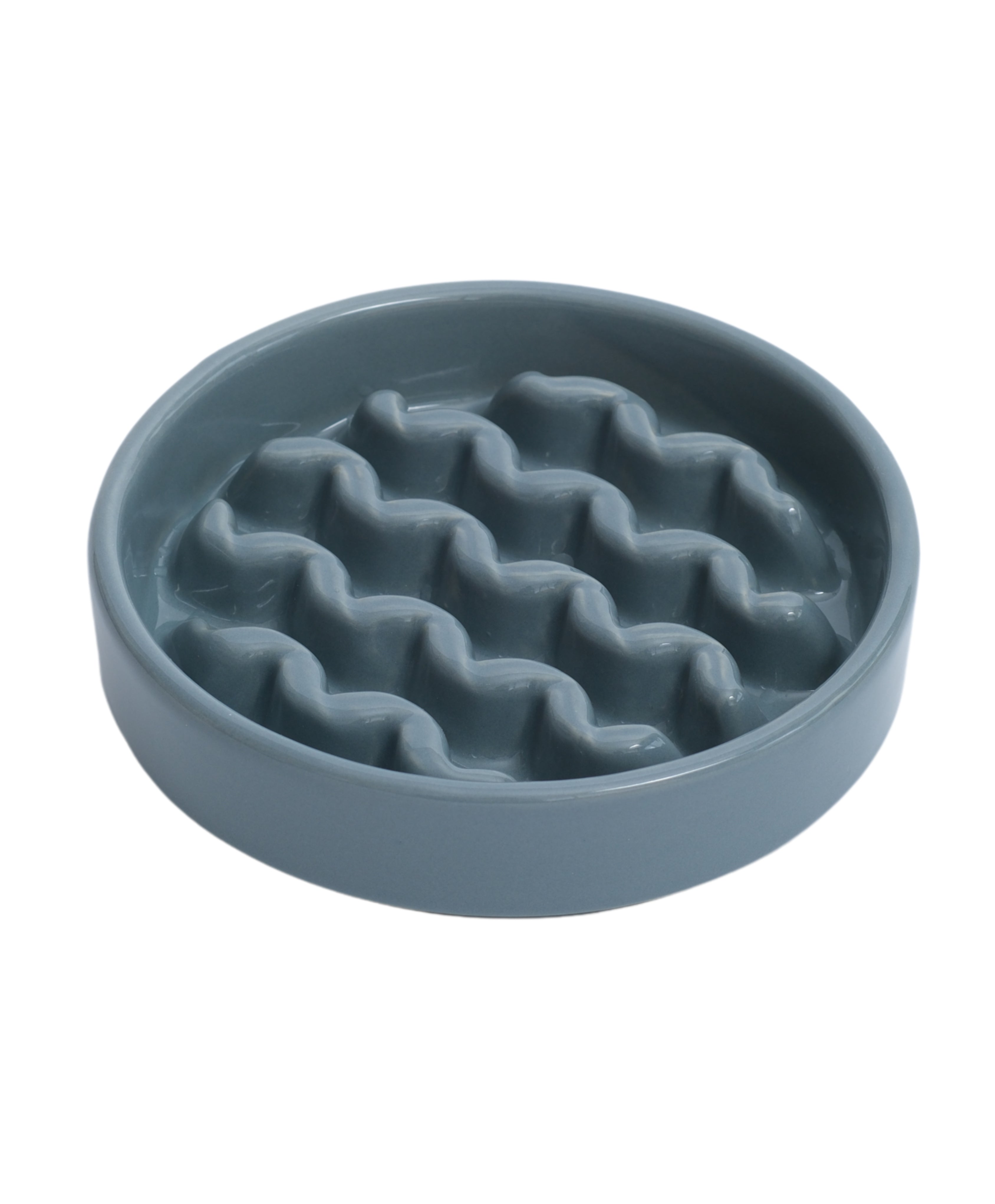 [Macaroni] Gamelles Lente Absorption pour Chien - Jaune / Bleu Glacé / Violet
