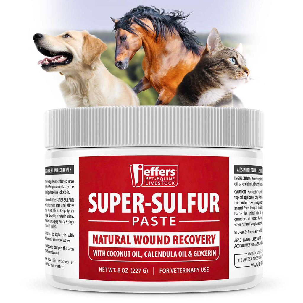 Pâte Jeffers Super-Sulfur pour la peau et la cicatrisation des plaies pour animaux de compagnie, chevaux et bétail