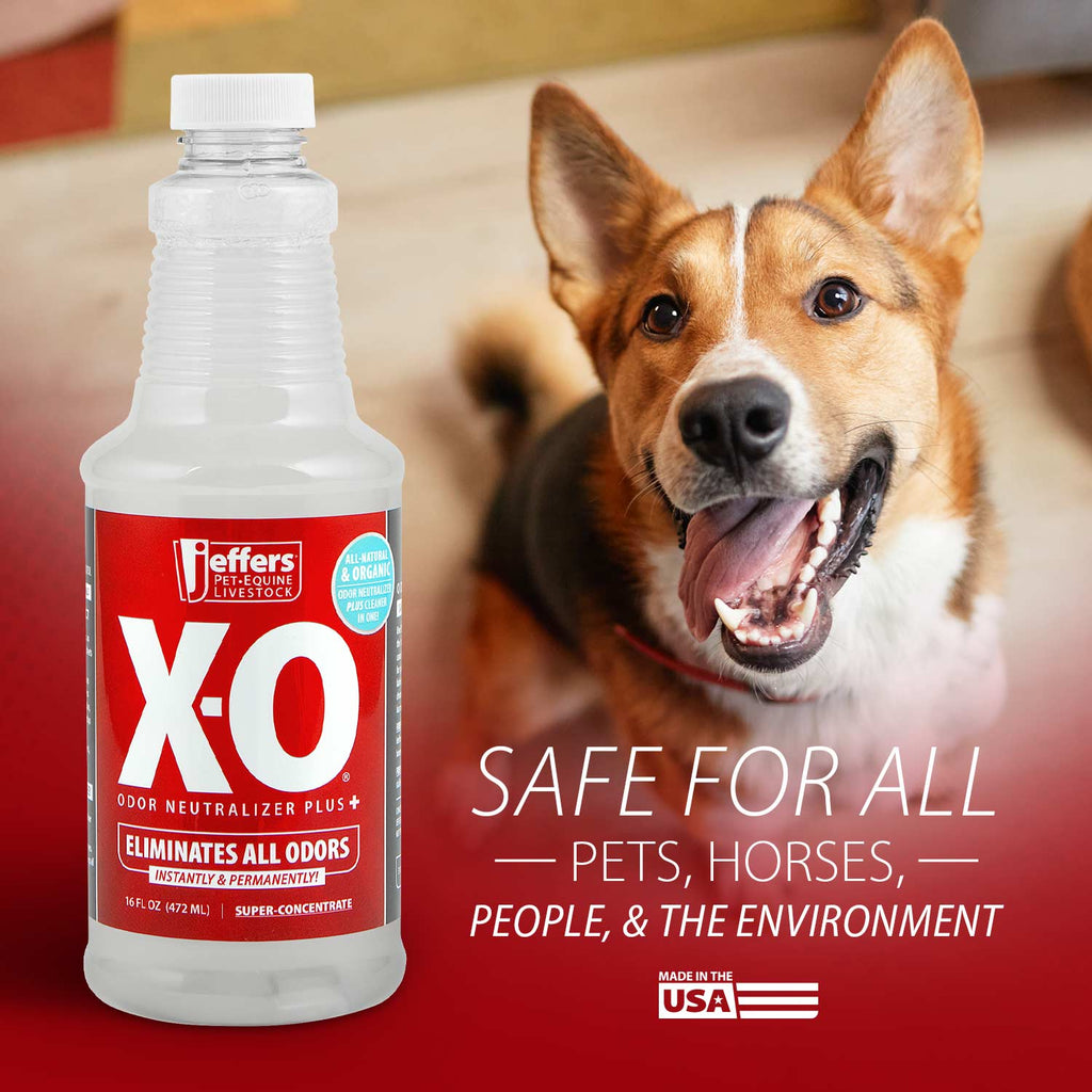Jeffers X-O Désodorisant et nettoyant concentré pour animaux de compagnie