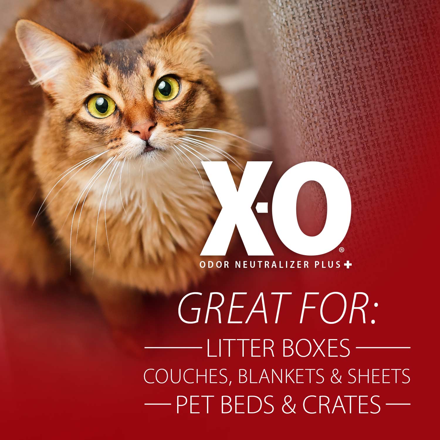 Jeffers X-O Désodorisant et nettoyant concentré pour animaux de compagnie