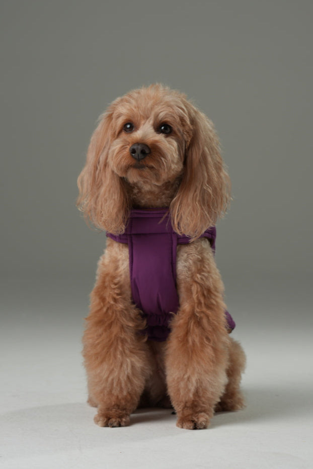 Gilet réversible pour chien - Violet Caramel