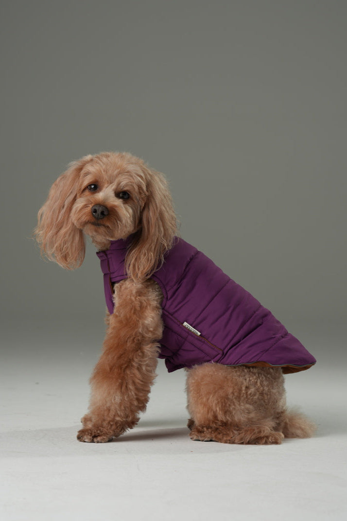 Gilet réversible pour chien - Violet Caramel