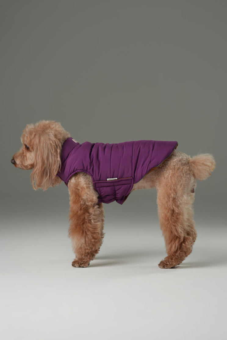 Gilet réversible pour chien - Violet Caramel
