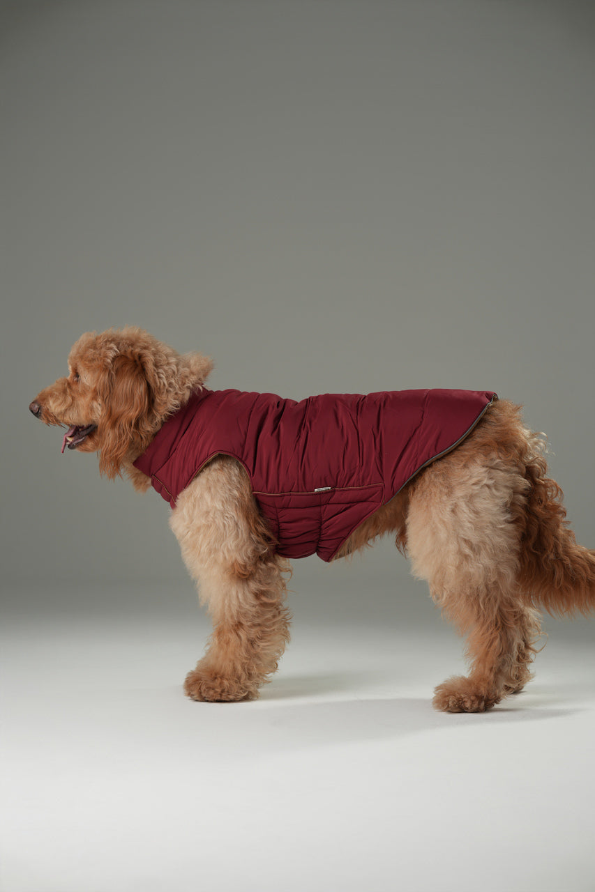 Doudoune réversible pour chien - Rouge Marron