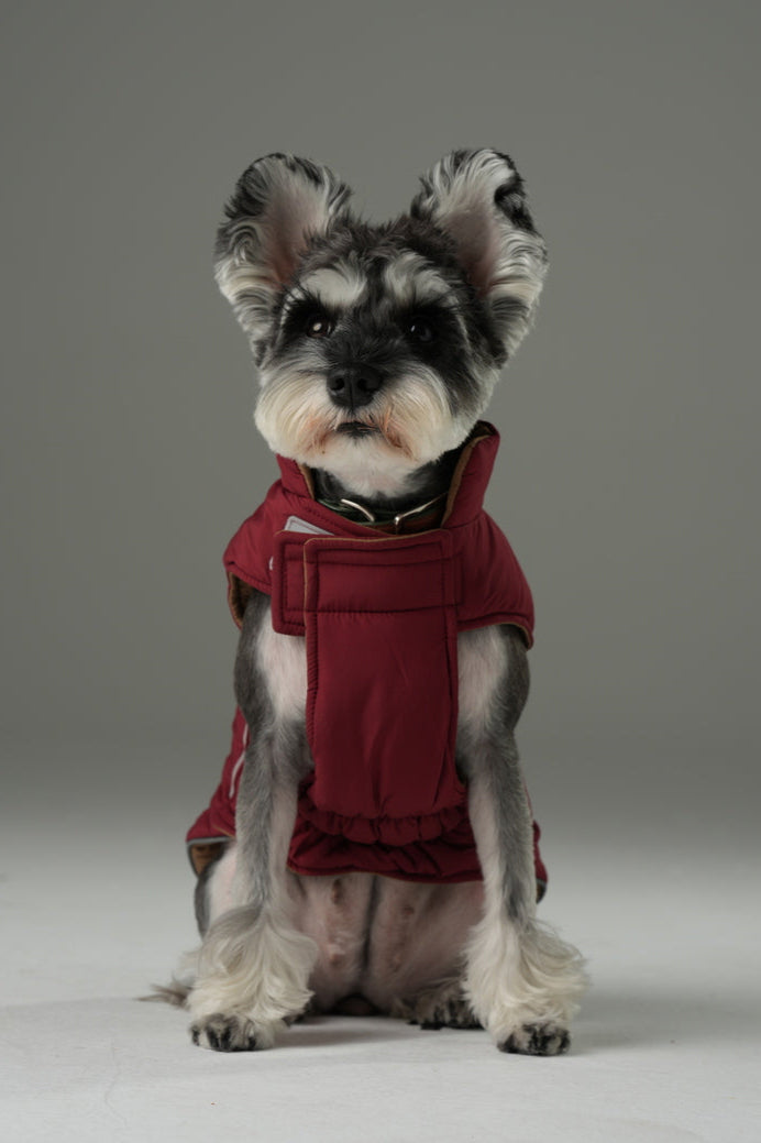 Doudoune réversible pour chien - Rouge Marron