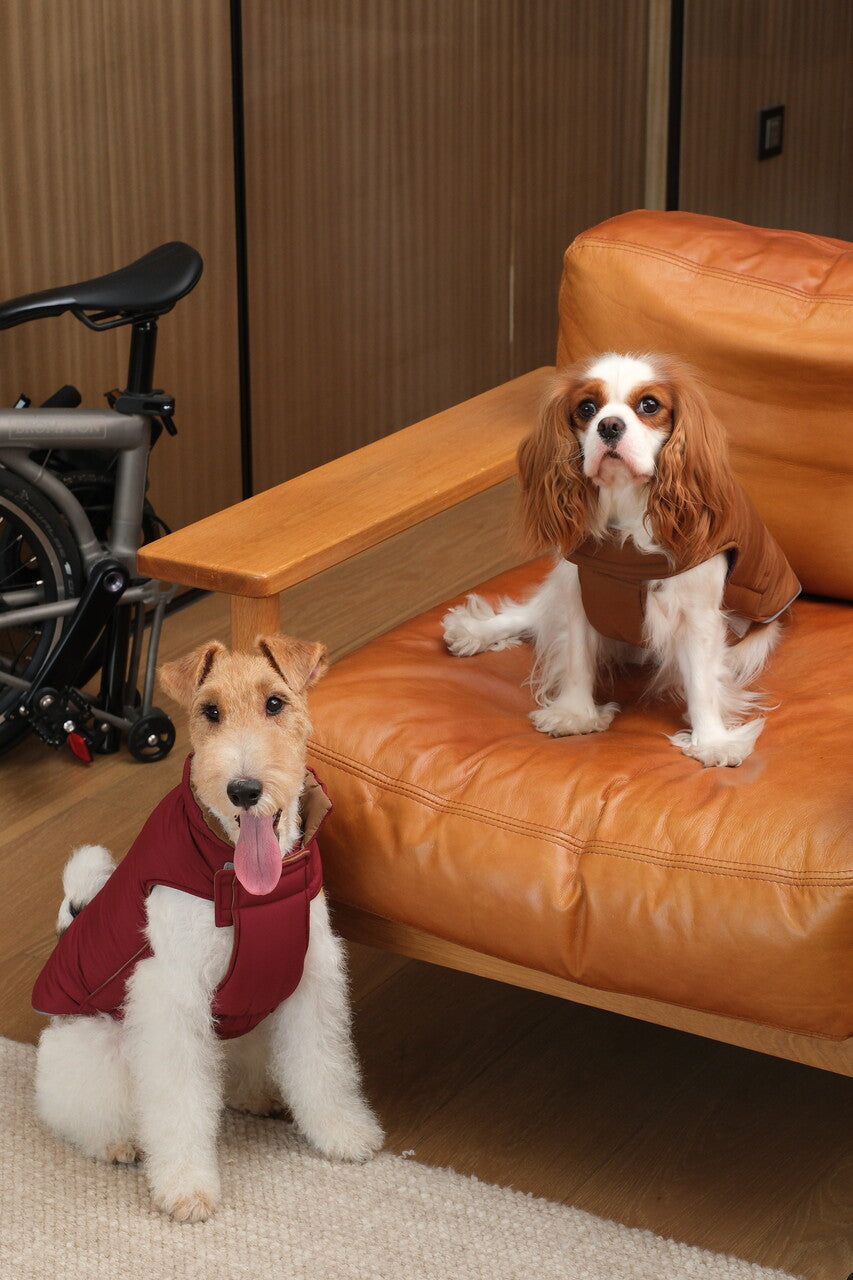 Doudoune réversible pour chien - Rouge Marron