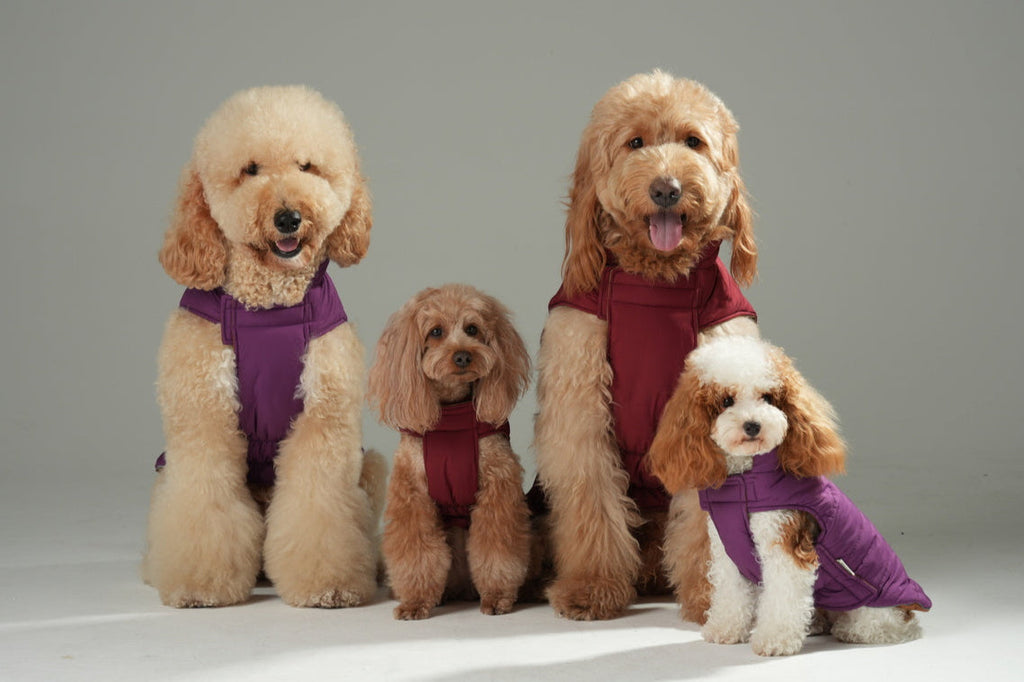 Doudoune réversible pour chien - Rouge Marron