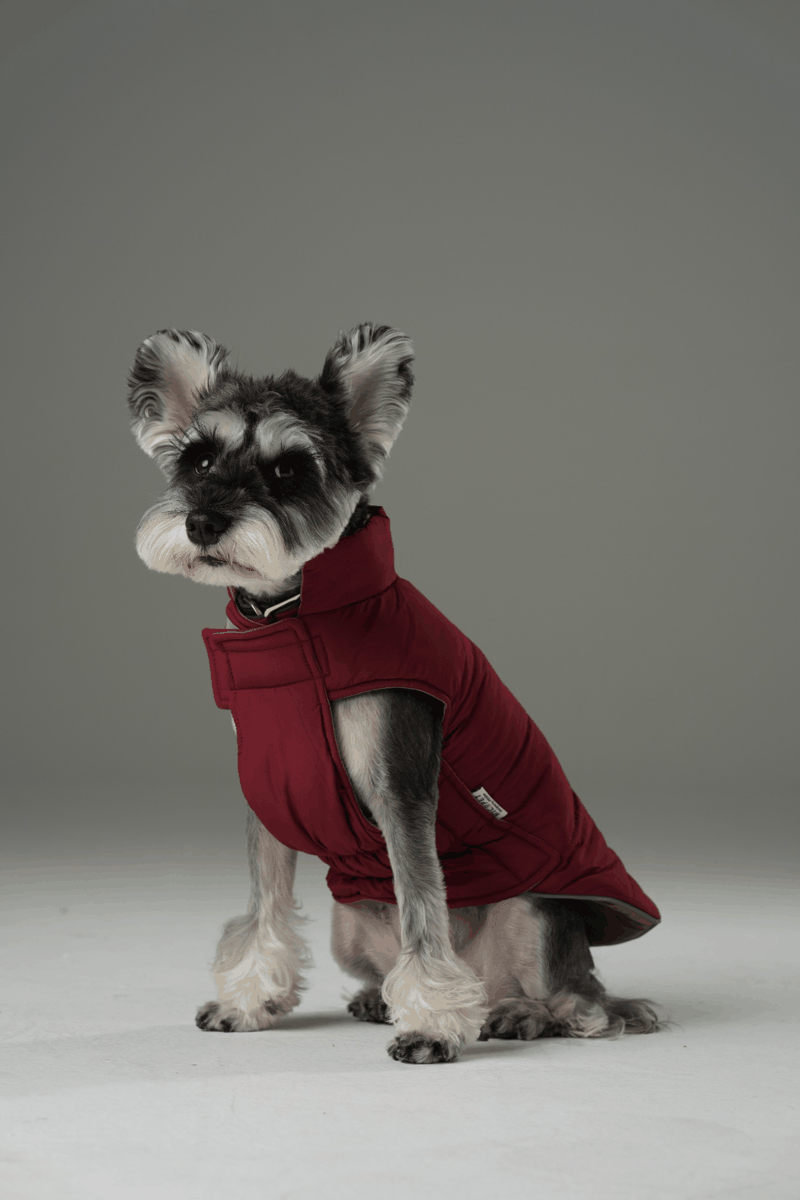 Doudoune réversible pour chien - Rouge Marron