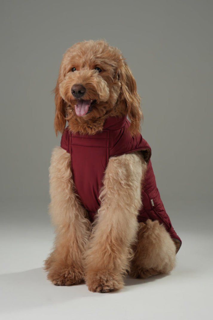 Doudoune réversible pour chien - Rouge Marron