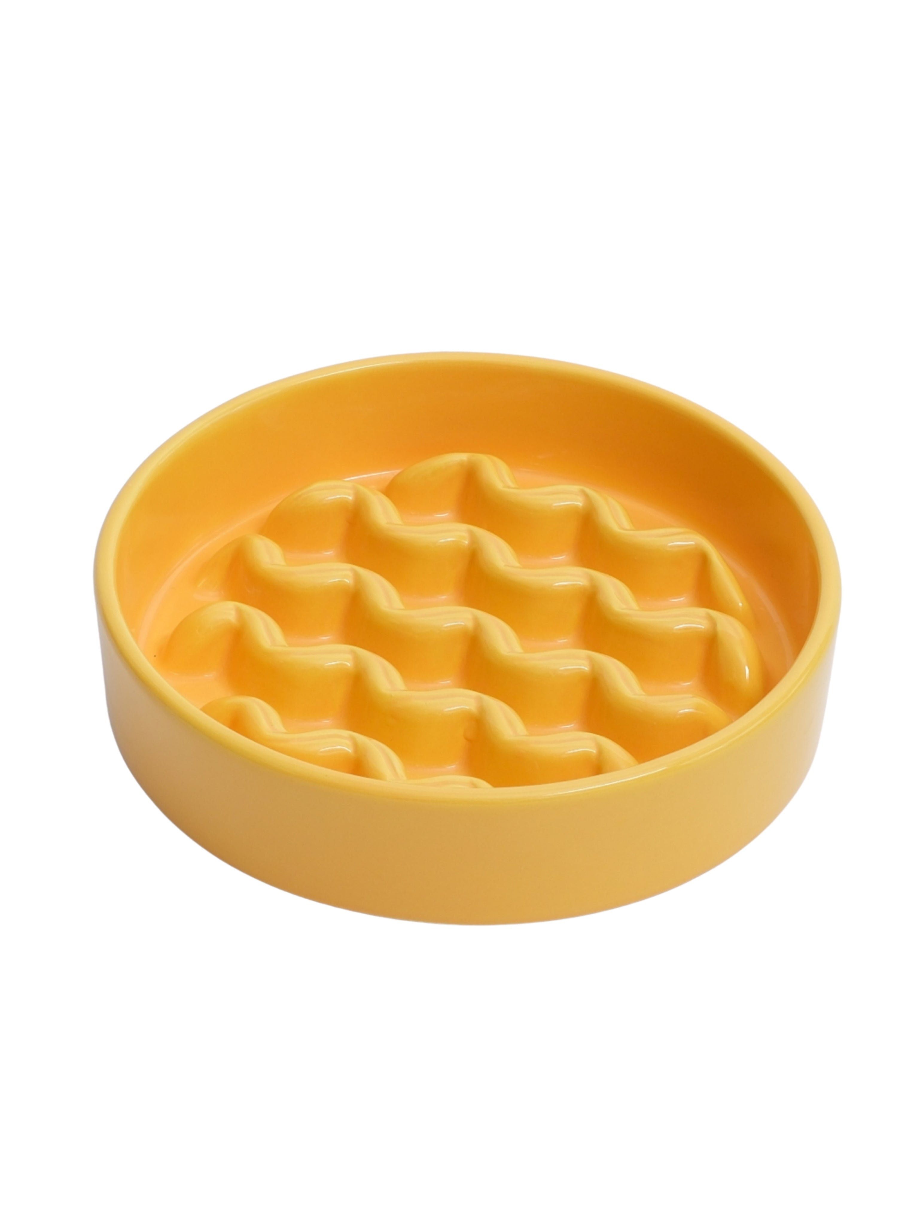[Macaroni] Gamelles Lente Absorption pour Chien - Jaune / Bleu Glacé / Violet