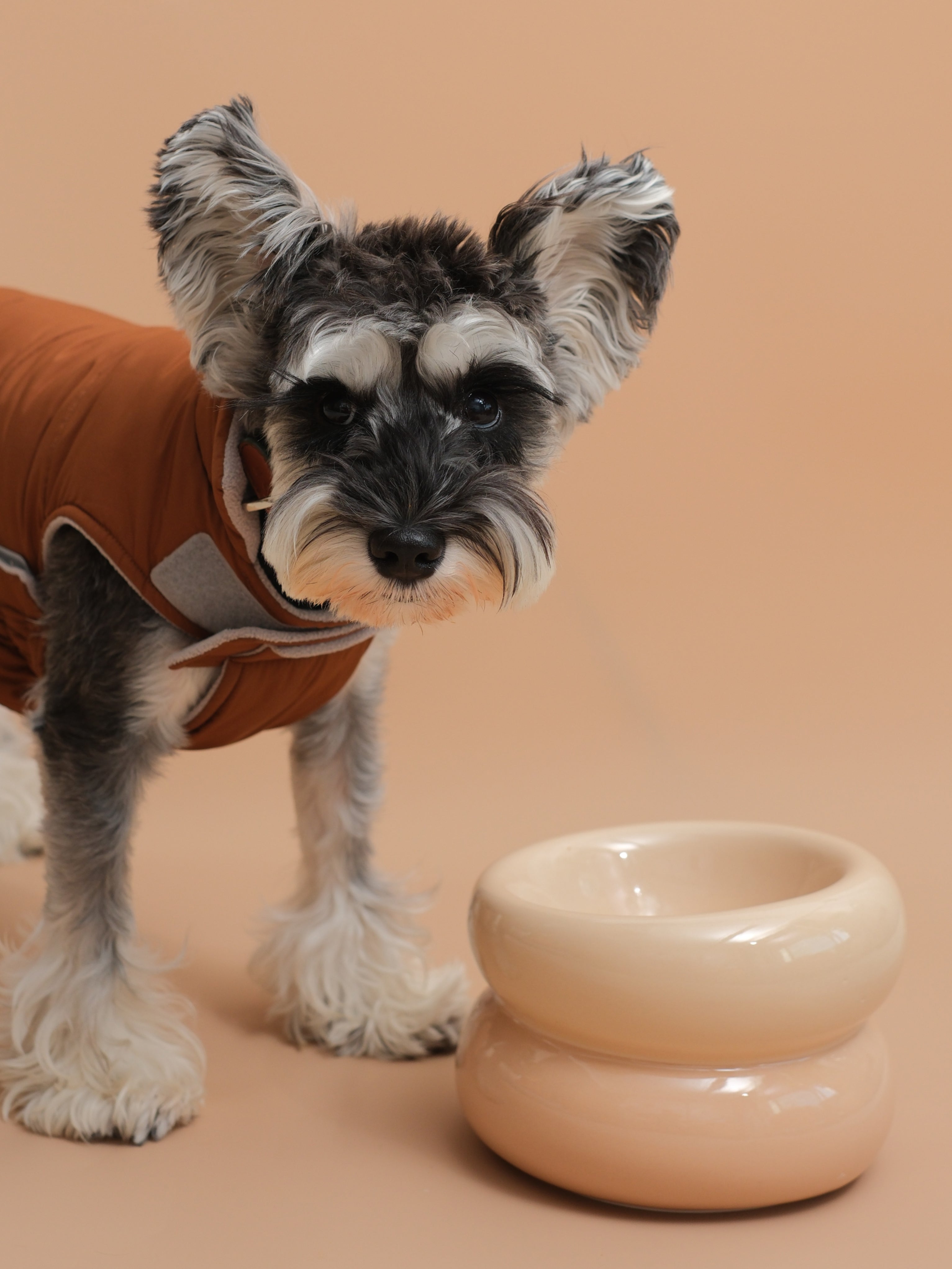 Gamelle Soufflé pour animaux de compagnie - Beige crème