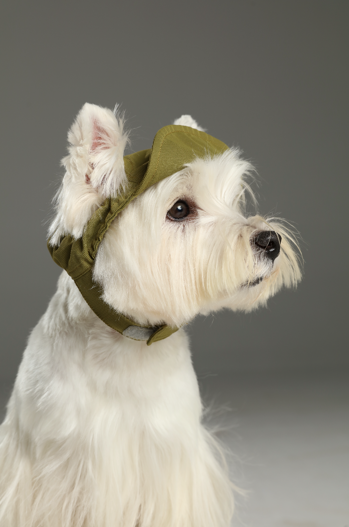 CASQUETTE DE TENNIS - VERTE